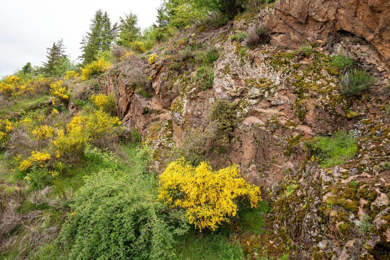 Moulin Des Comtes - Chambre Les Rochers Viverols Exterior foto